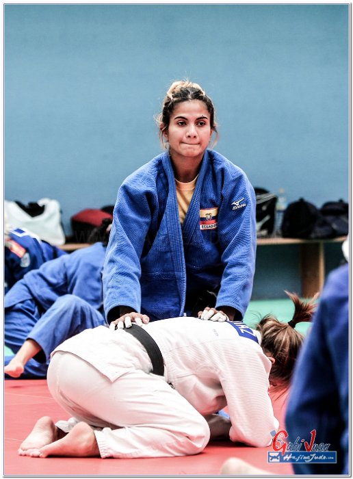 STAGE JUDO MADRID 14 00041